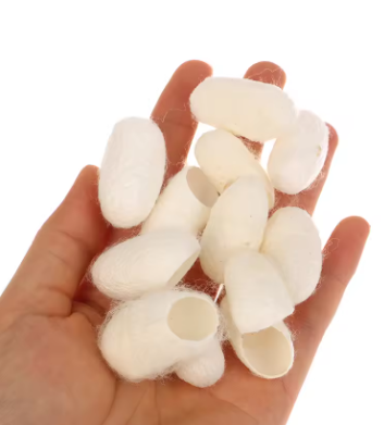 100pcs Silkworm Balls Natural Silk Cocoons Peeling Purifying Whitening Exfoliating Scrub Blackhead Remover Facial Skin Care